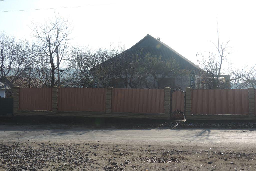 Віньківці з panoramio.com - Віньківці