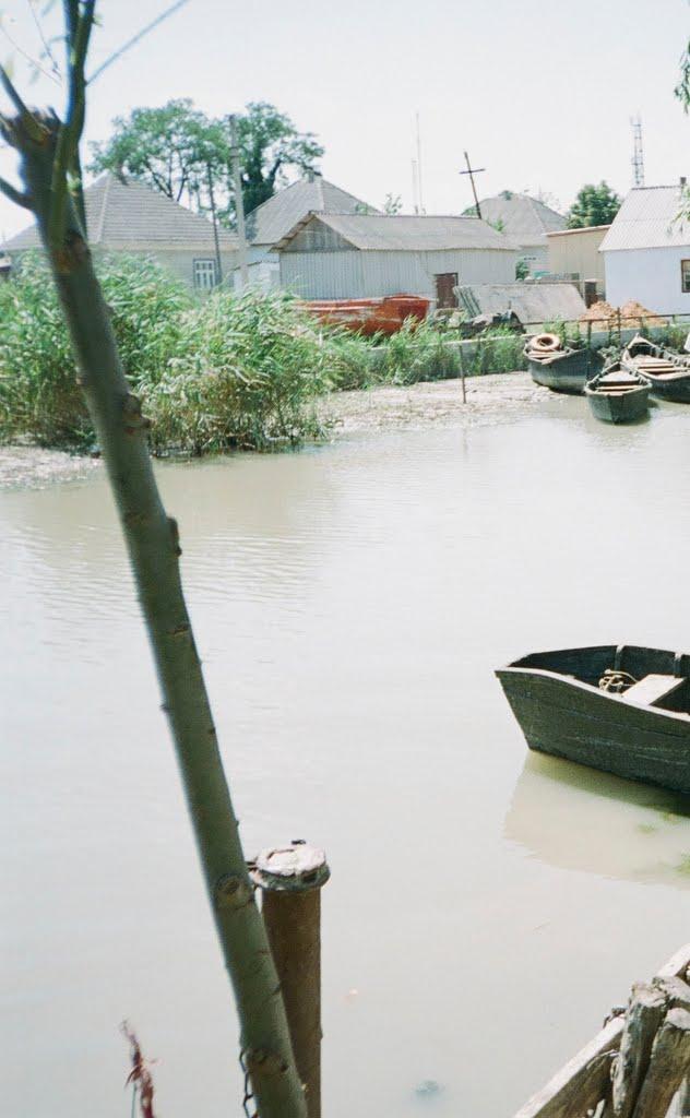 Вилкове з panoramio.com (ч.2) - Вилкове