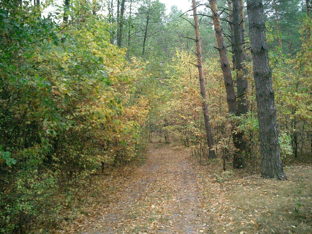 Полянь з panoramio.com - Полянь