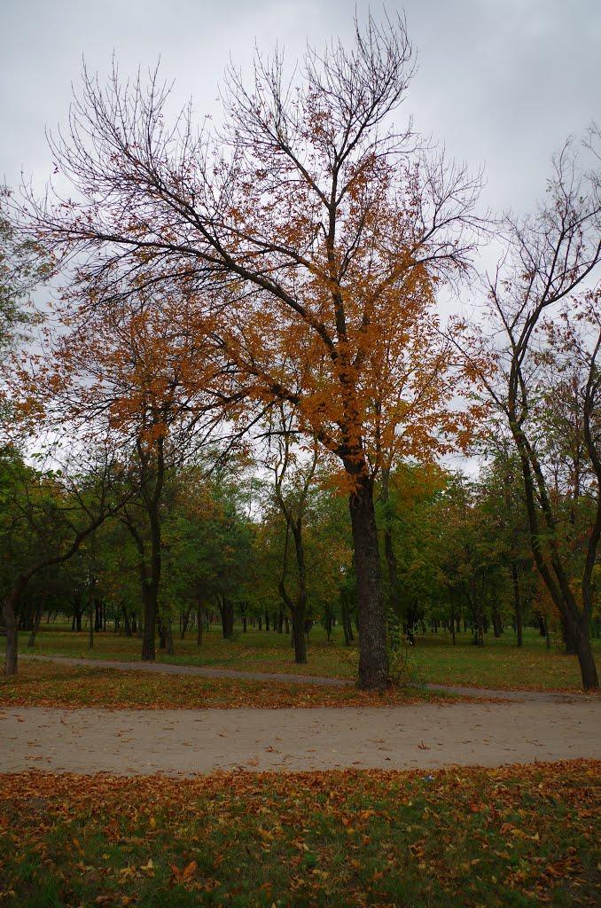 Нікополь з panoramio.com (ч.2) - Никополь