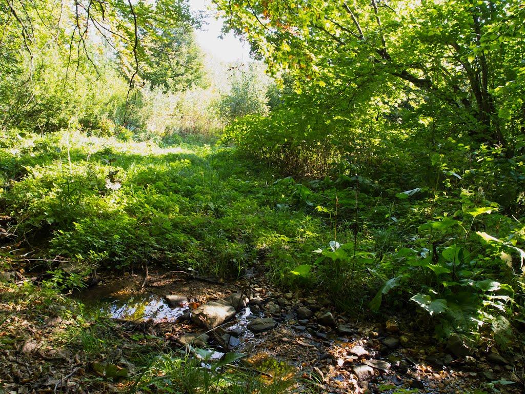Підгірне з panoramio.com - Підгірне