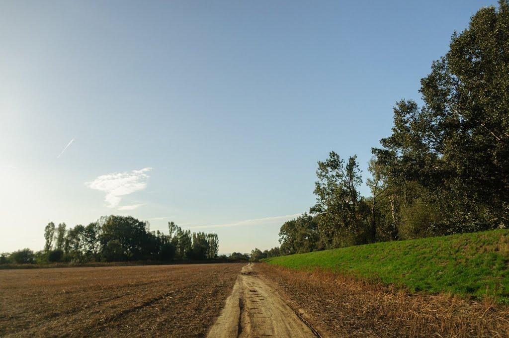 Розівка з panoramio.com (ч.2) - Розівка