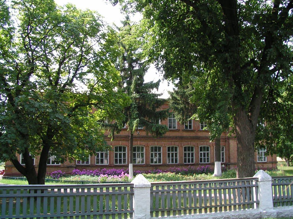 Нові Млини з panoramio.com - Нові Млини