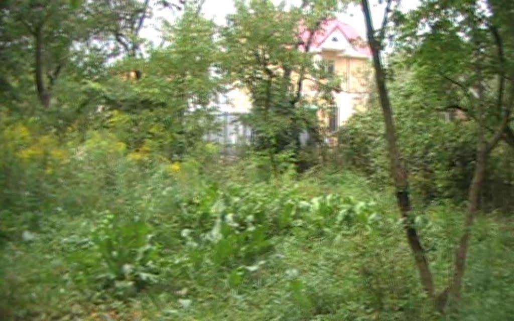 Коцюбинське з panoramio.com (ч.3) - Коцюбинское