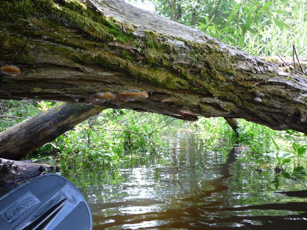 Бережниця з panoramio.com - Бережниця