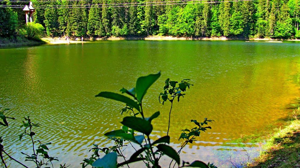 Синевирська Поляна з panoramio.com - Синевирська Поляна