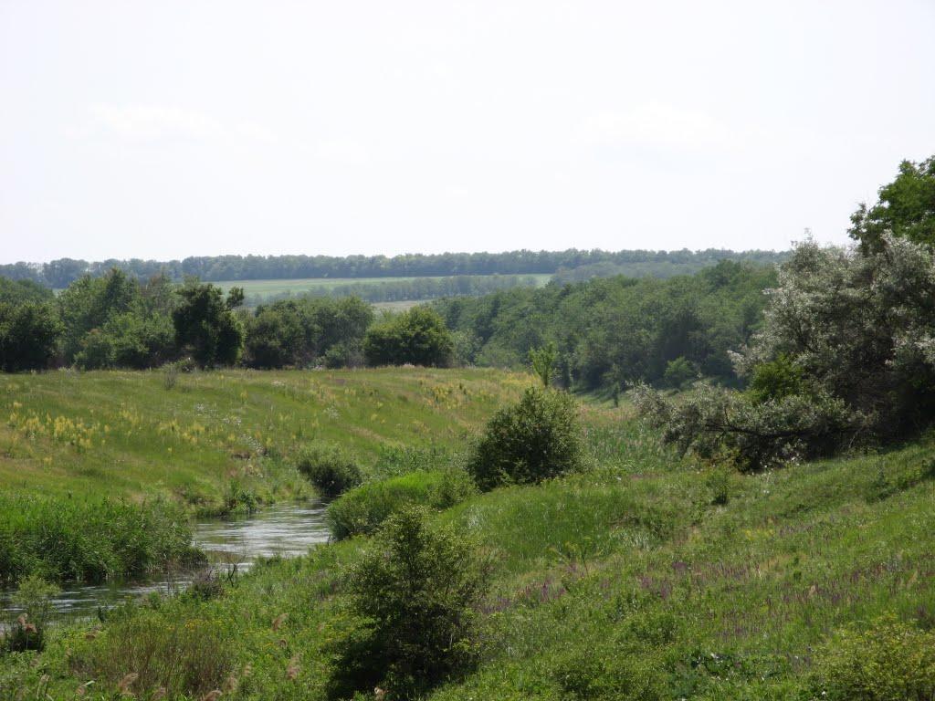 Новоселівка з panoramio.com - Новоселівка