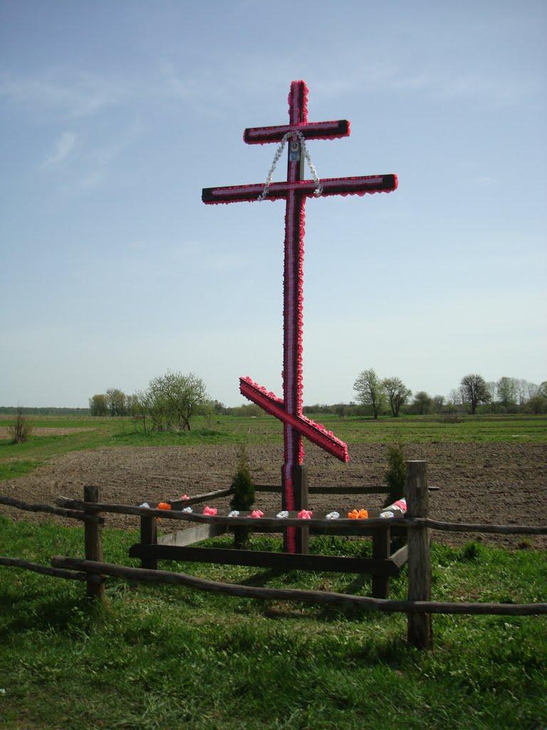 Дроздні з panoramio.com - Дроздни