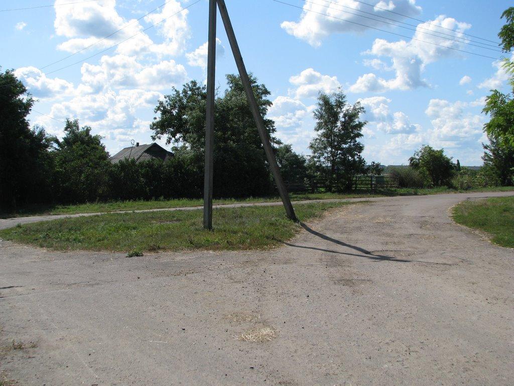 Оситняжка з panoramio.com - Osytnyazhka