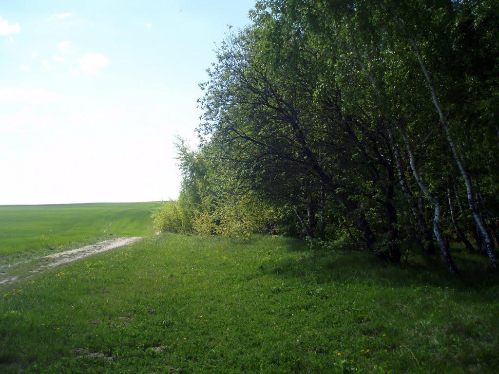 Копань з panoramio.com - Копань