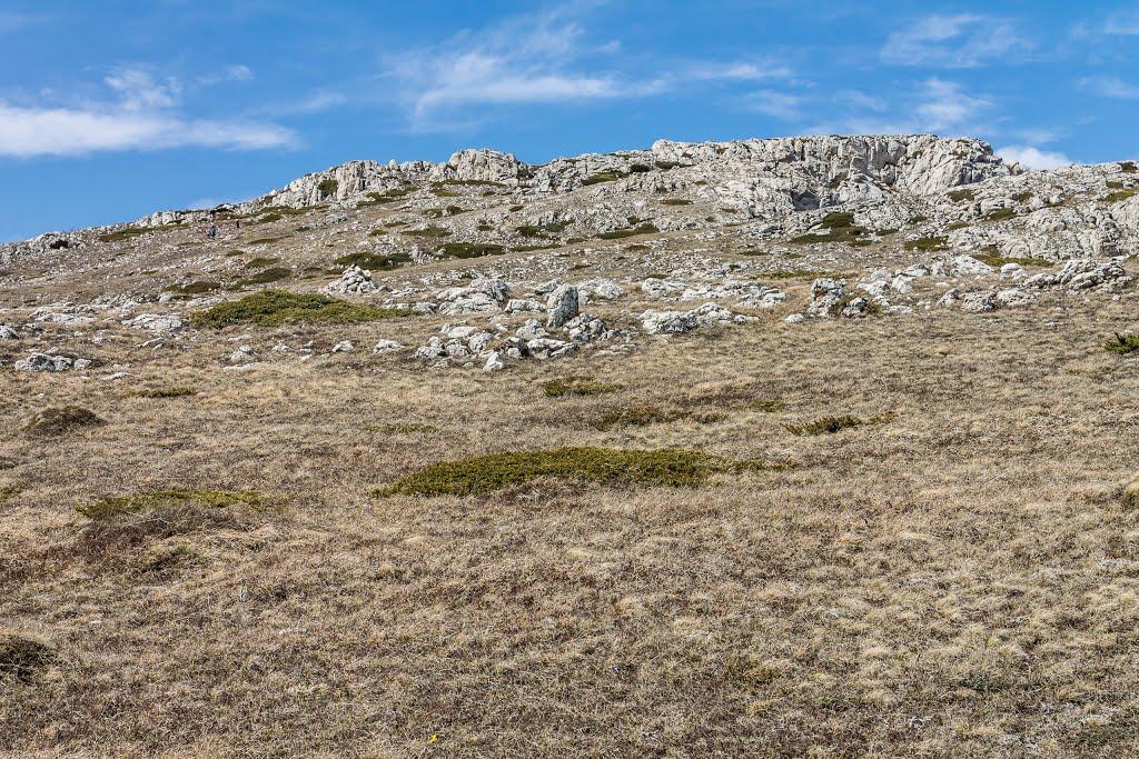 Розовий з panoramio.com (ч.2) - Розовий
