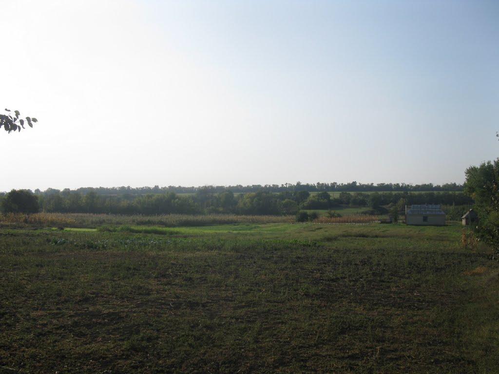 Гаврилівка з panoramio.com - Гаврилівка