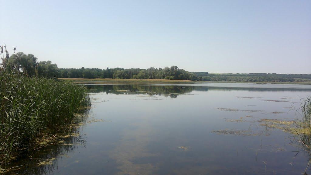 Сенькове з panoramio.com - Сенькове