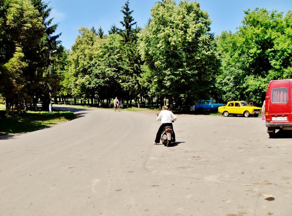 Козацьке з panoramio.com - Козацьке