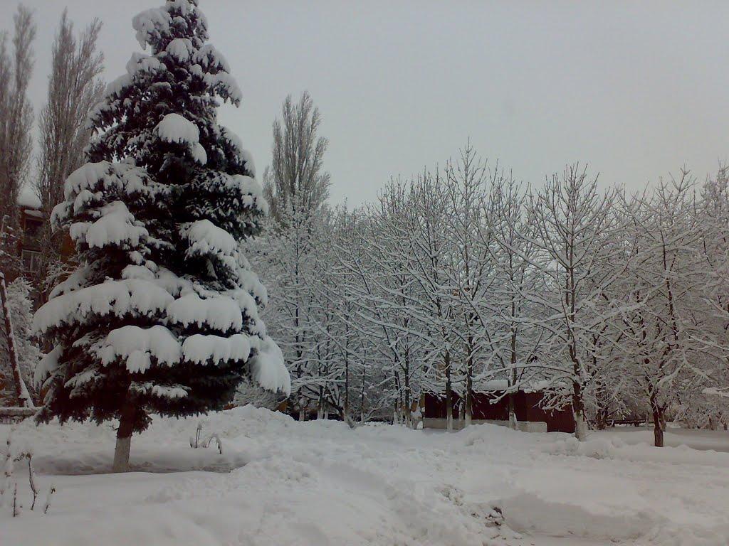Шахтарськ з panoramio.com - Шахтерск