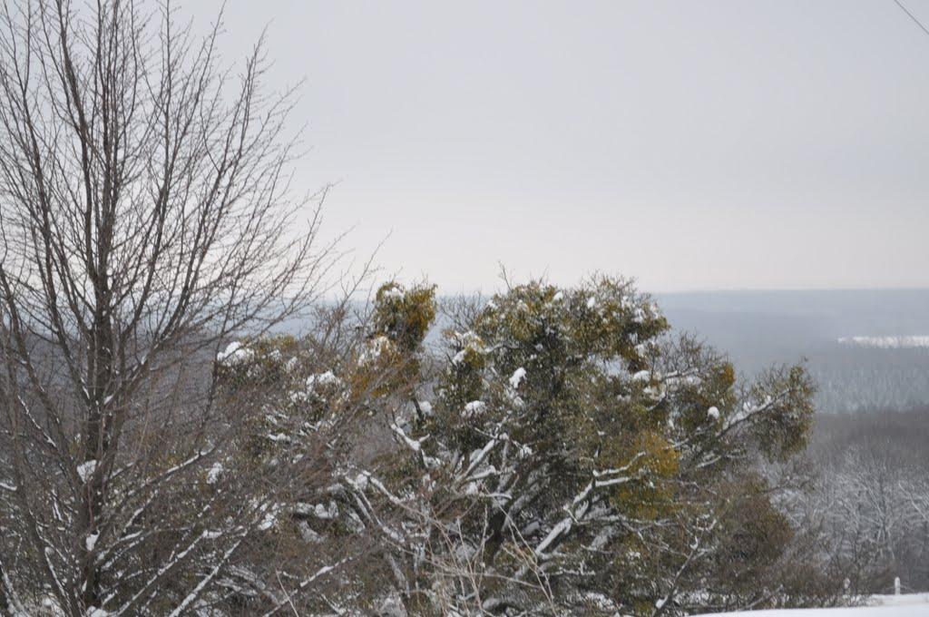 Більськ з panoramio.com - Більськ