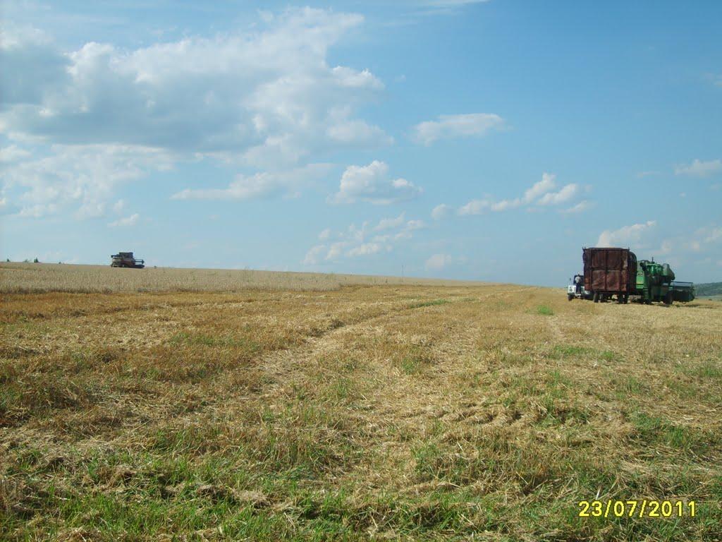 Сухувате з panoramio.com - Сухувате