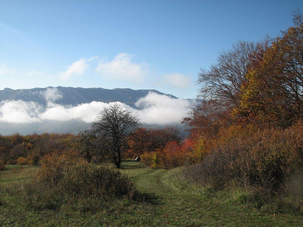 Розовий з panoramio.com (ч.2) - Rozovyy