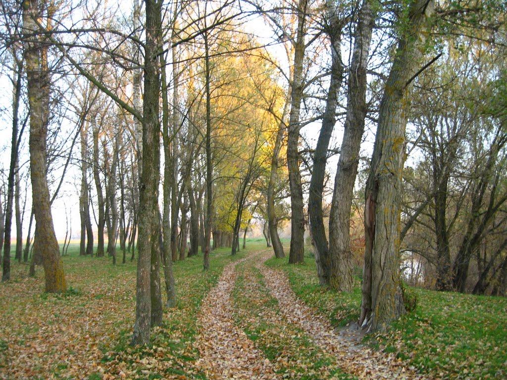 Говтва з panoramio.com - Говтва