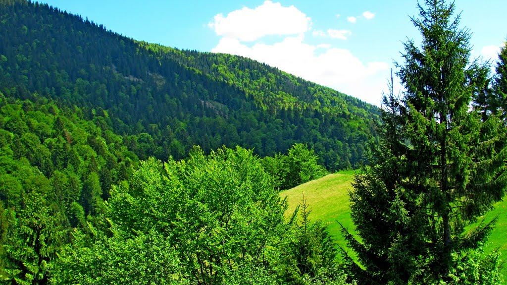 Загорб з panoramio.com - Загорб