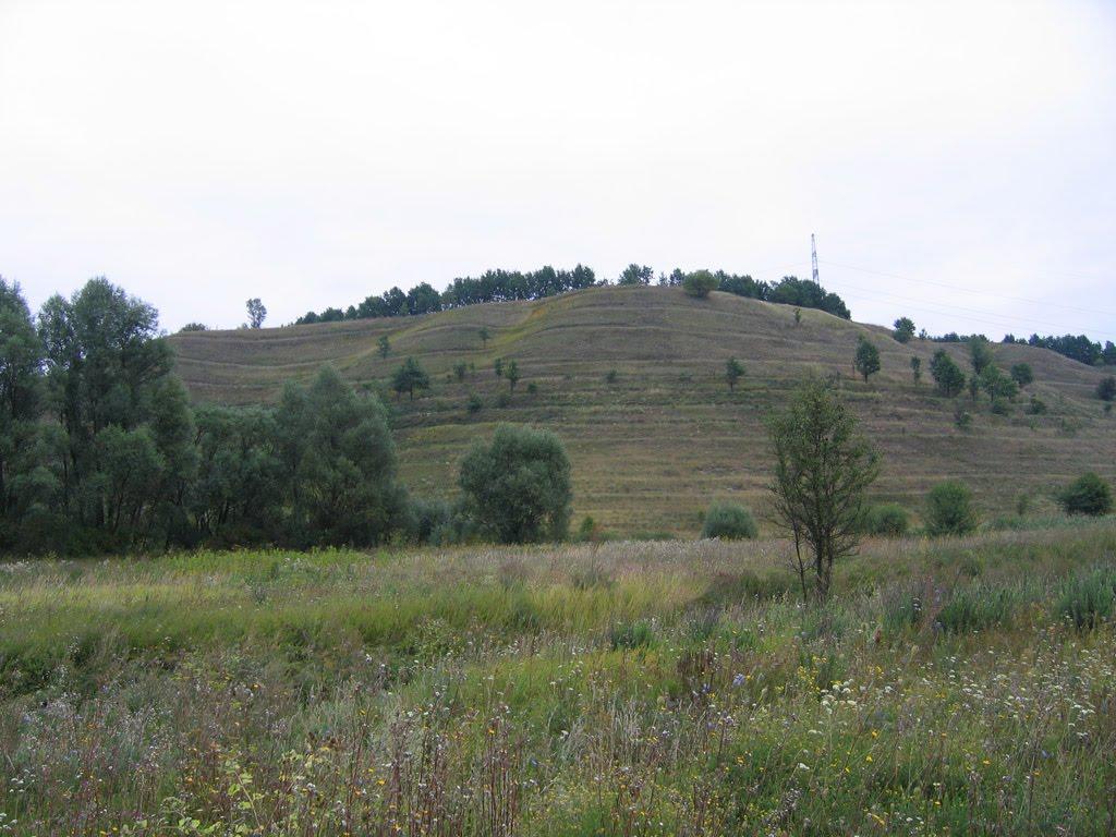 Копачів з panoramio.com - Копачов
