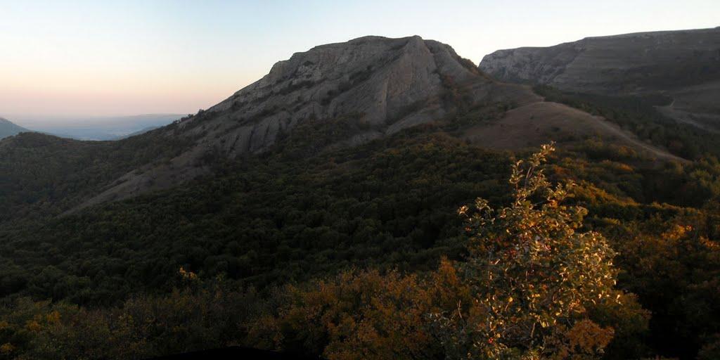 Лаванда з panoramio.com (ч.2) - Lavanda