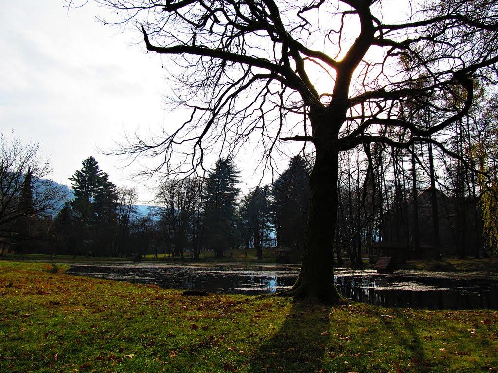 Карпати з panoramio.com - Карпати