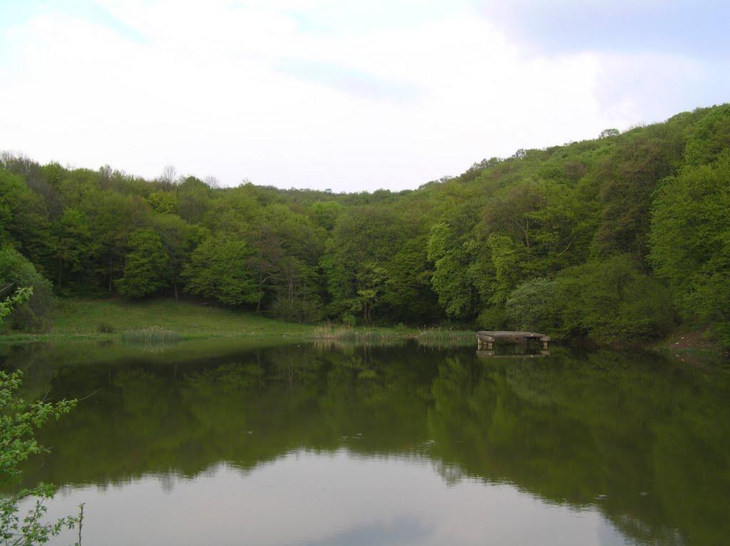 Жовнівка з panoramio.com - Жовнівка