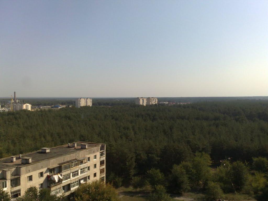 Сєверодонецьк з panoramio.com (ч.3) - Сєверодонецьк