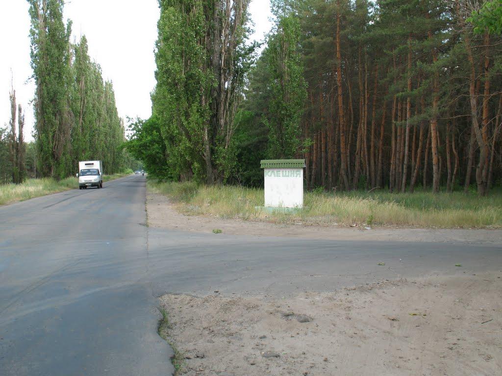 Сєверодонецьк з panoramio.com (ч.3) - Северодонецк