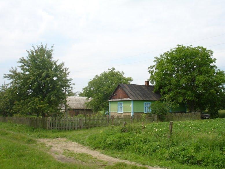 Звози з panoramio.com - Звози