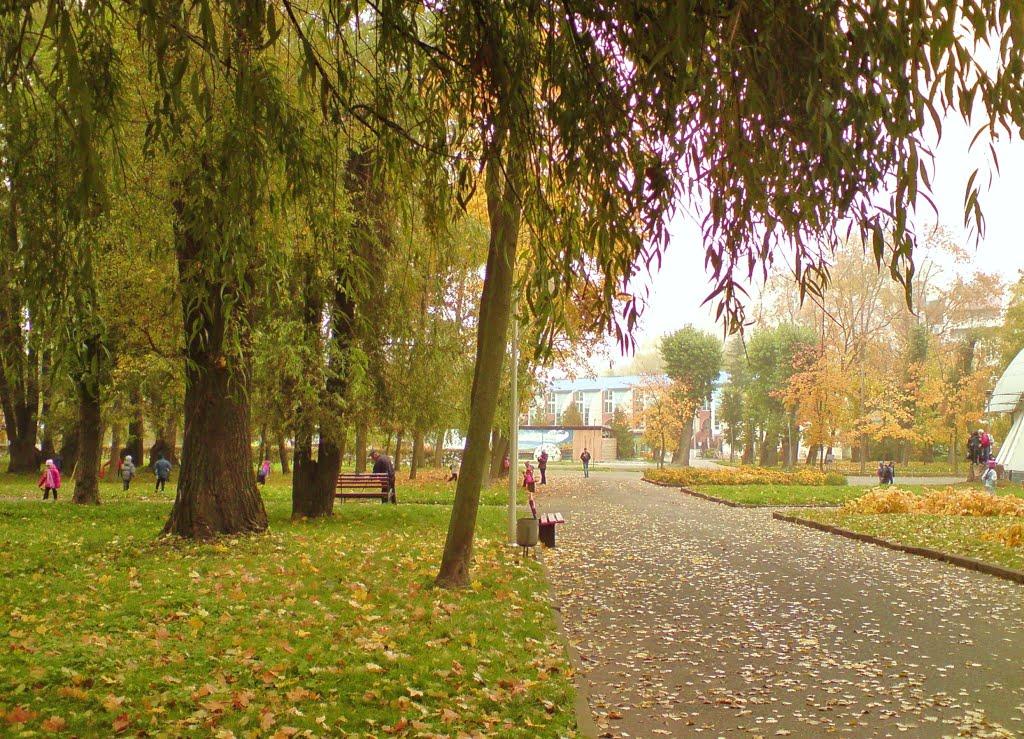 Петриків з panoramio.com (ч.2) - Петриків