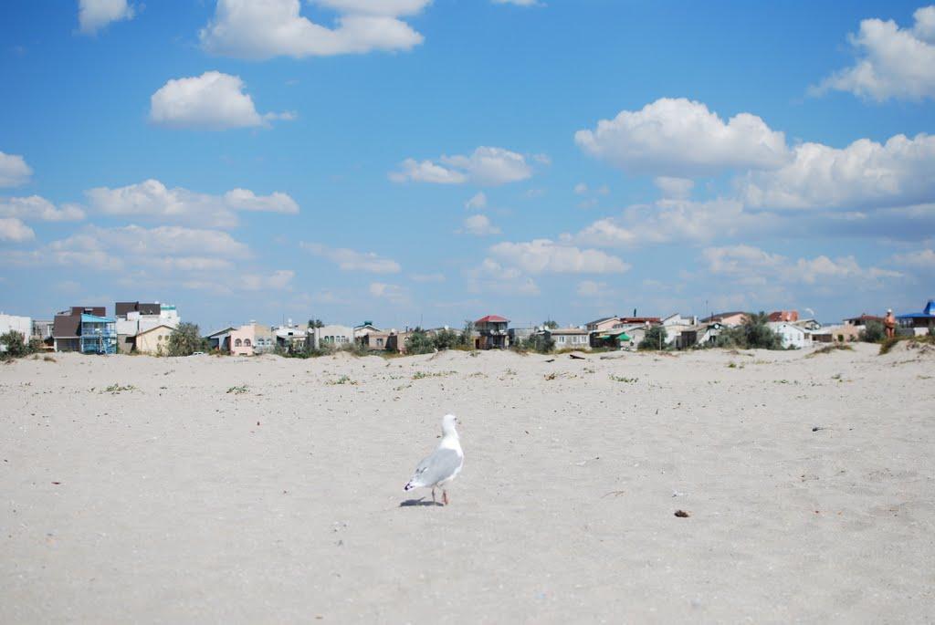 Мирний з panoramio.com (ч.2) - Мирний