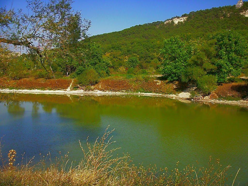 Залісне з panoramio.com (ч.2) - Залісне