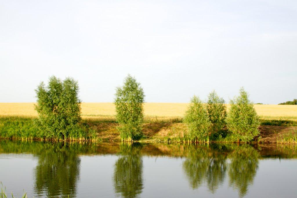Петроселівка з panoramio.com - Петроселівка