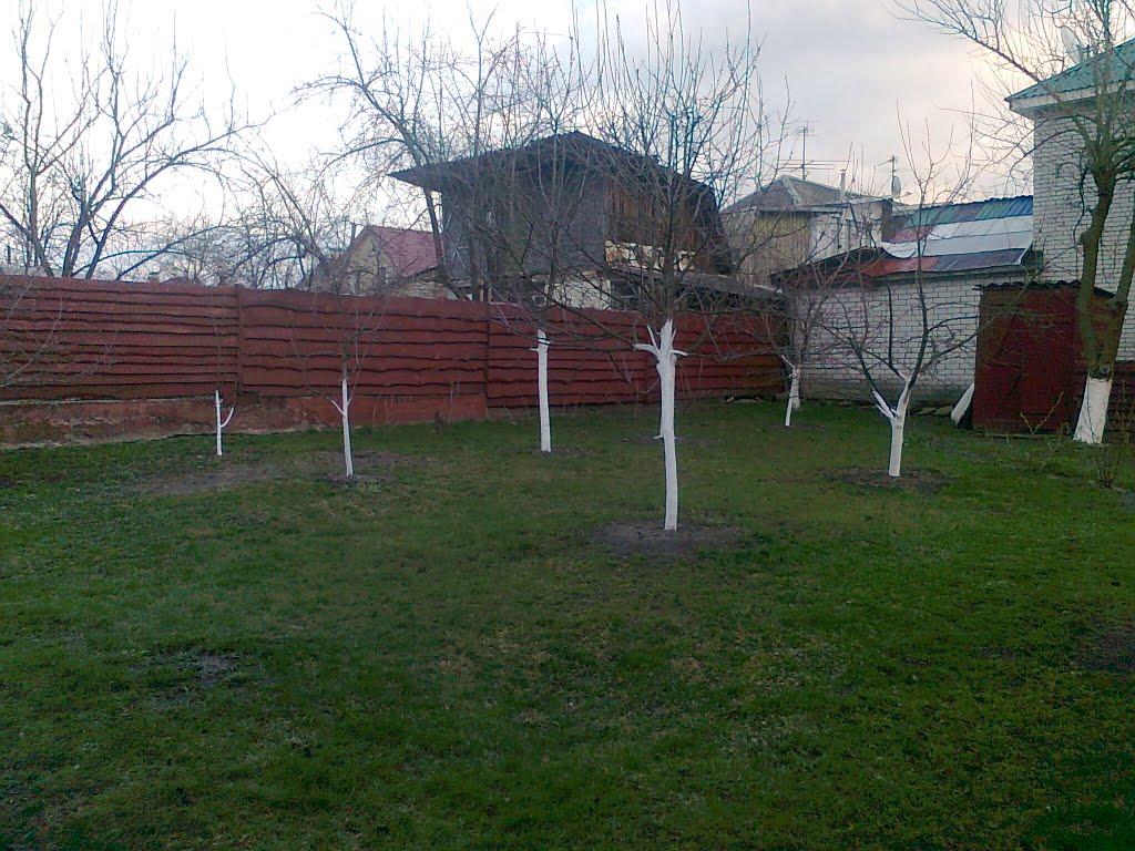 Коцюбинське з panoramio.com (ч.3) - Коцюбинское
