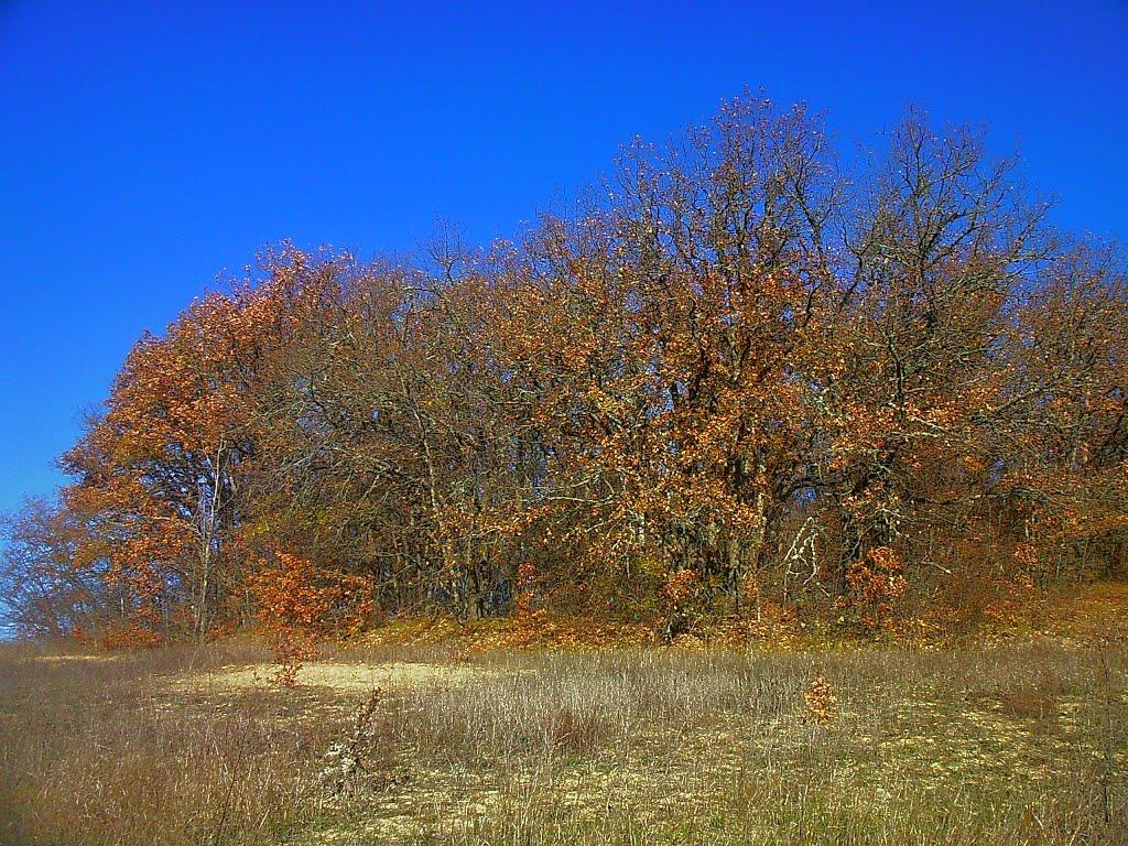 Верхоріччя з panoramio.com - Верхоречье