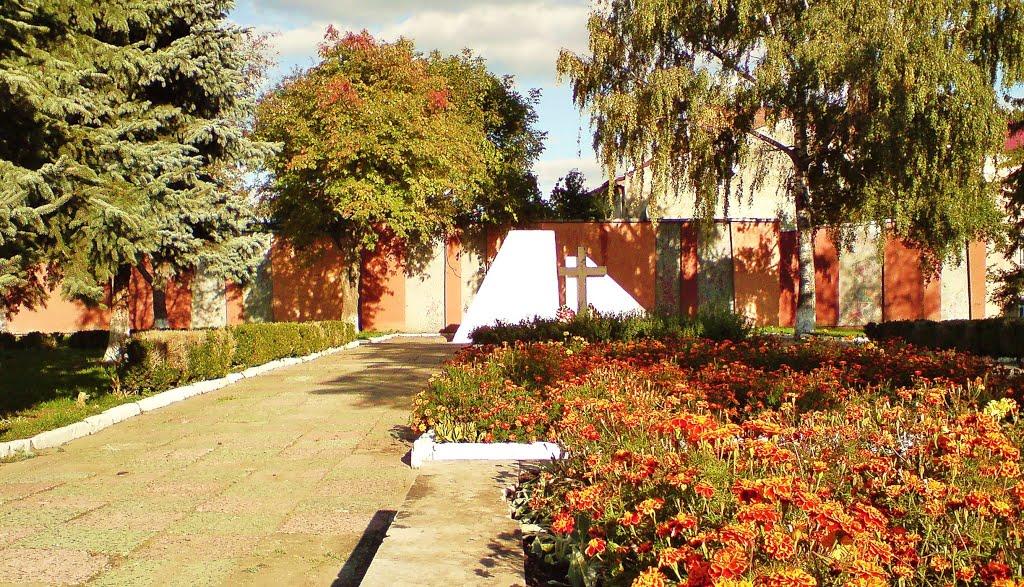 Бережани з panoramio.com - Бережаны