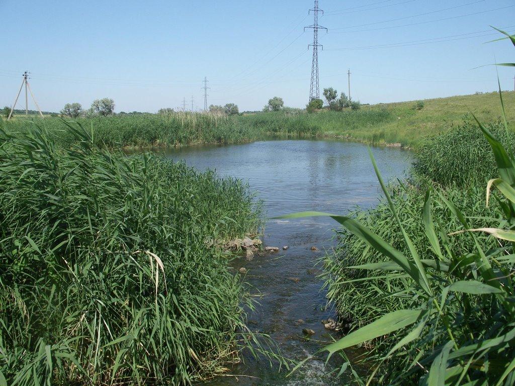 Михайло-Заводське з panoramio.com - Михайло-Заводське