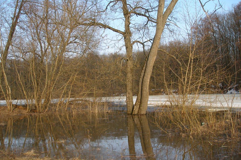 Битиця з panoramio.com - Битиця