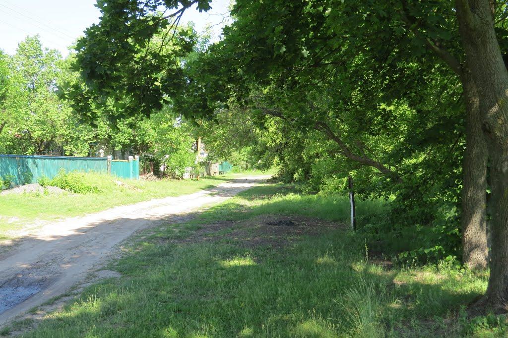 Софіївка з panoramio.com - Софиевка