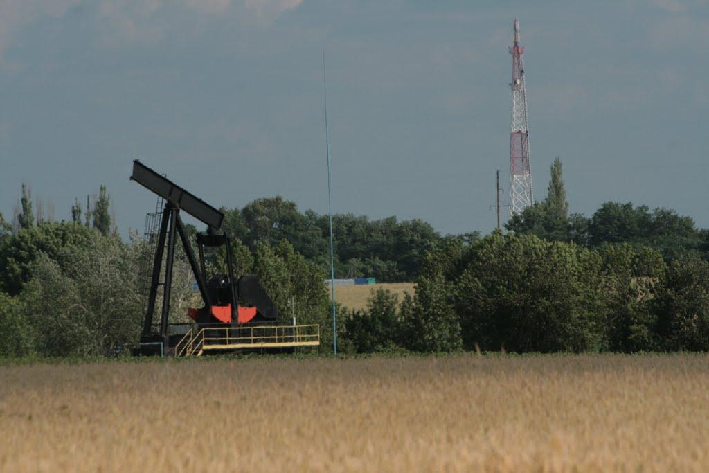 Нехвороща з panoramio.com - Нехвороща