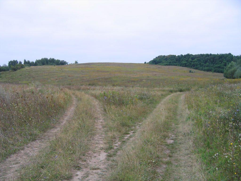 Копачів з panoramio.com - Копачов