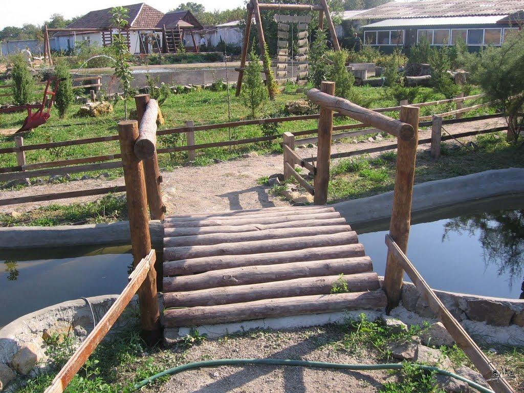 Кременівка з panoramio.com - Кременівка