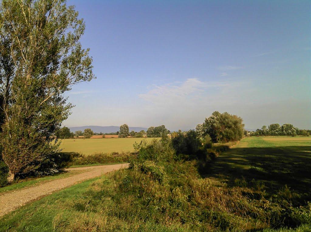 Розівка з panoramio.com (ч.2) - Розівка