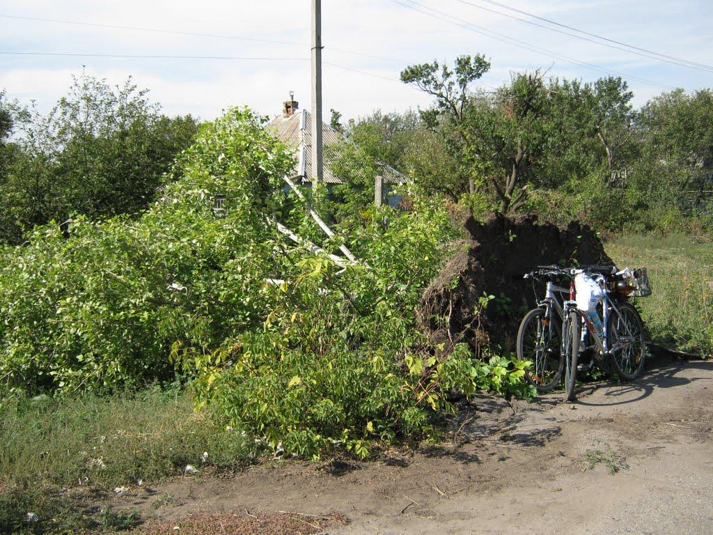 Красиве з panoramio.com - Красиве