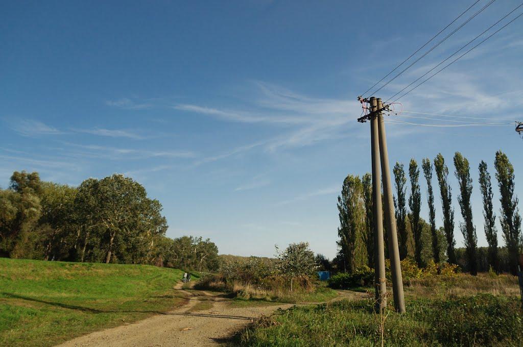 Розівка з panoramio.com (ч.2) - Розівка