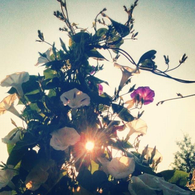 Бабинці з panoramio.com - Бабинці