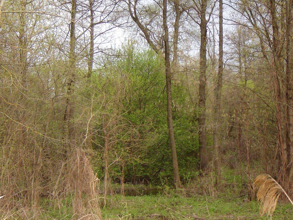 Іценків з panoramio.com - Иценков