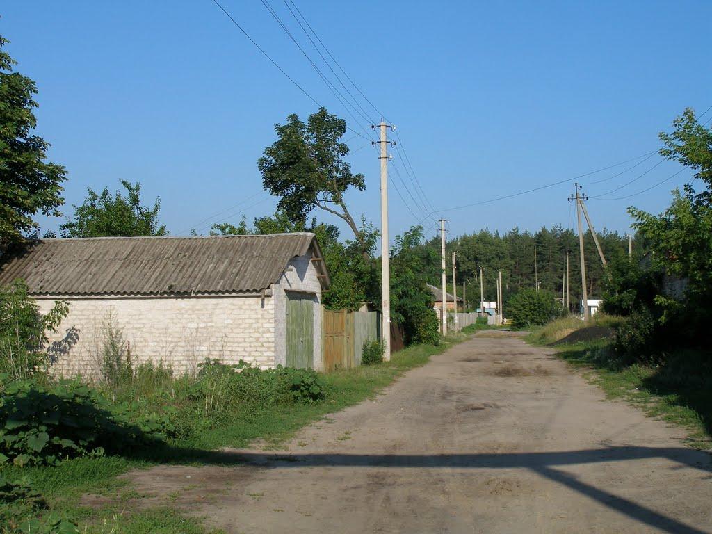 Зідьки з panoramio.com - Зідьки